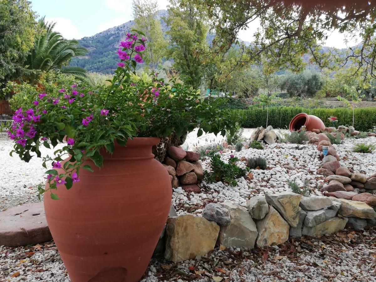 Alojamiento Rural Casa Fuente Del Prado La Iruela Esterno foto