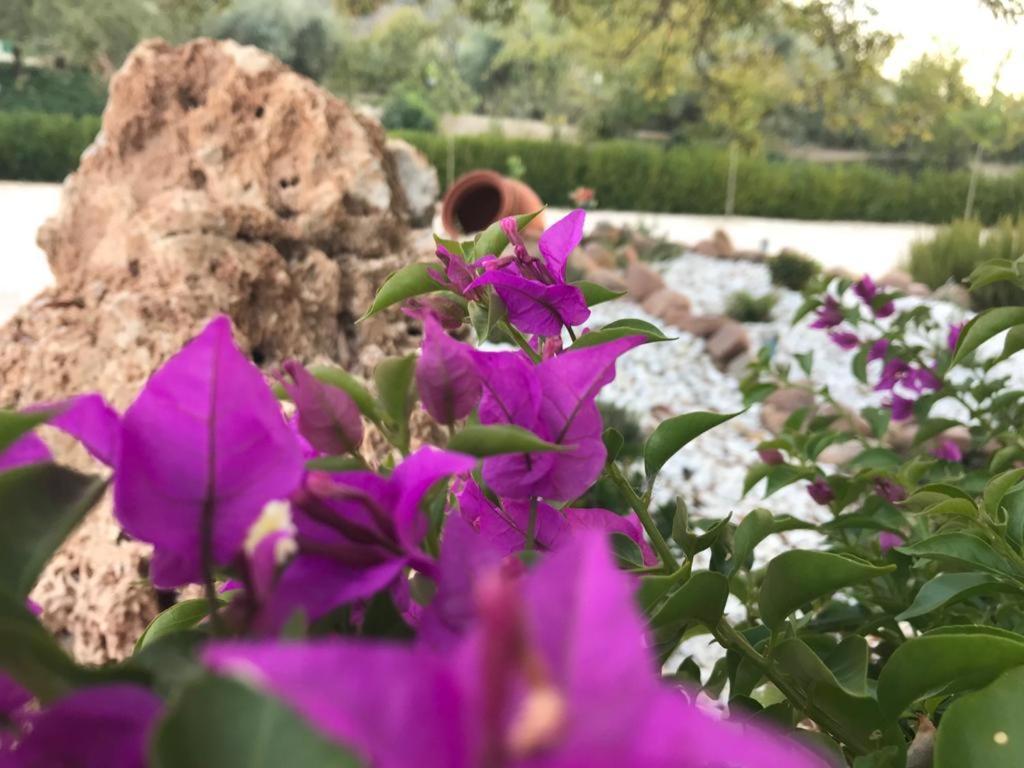 Alojamiento Rural Casa Fuente Del Prado La Iruela Esterno foto