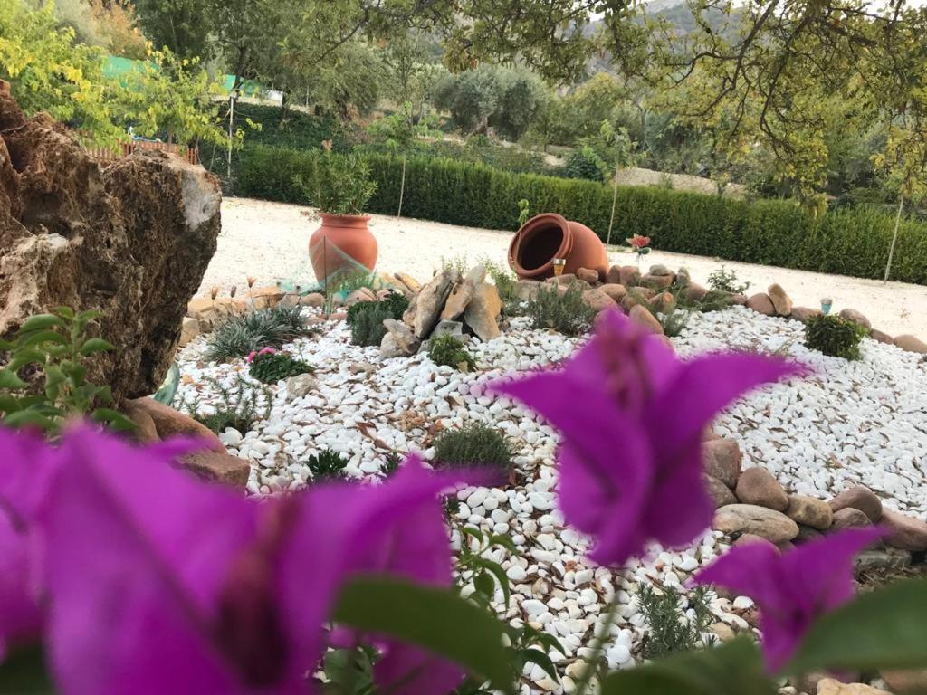 Alojamiento Rural Casa Fuente Del Prado La Iruela Esterno foto